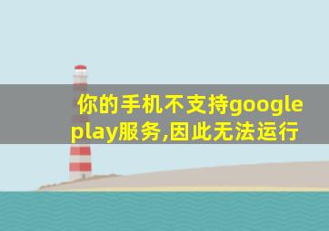 你的手机不支持google play服务,因此无法运行